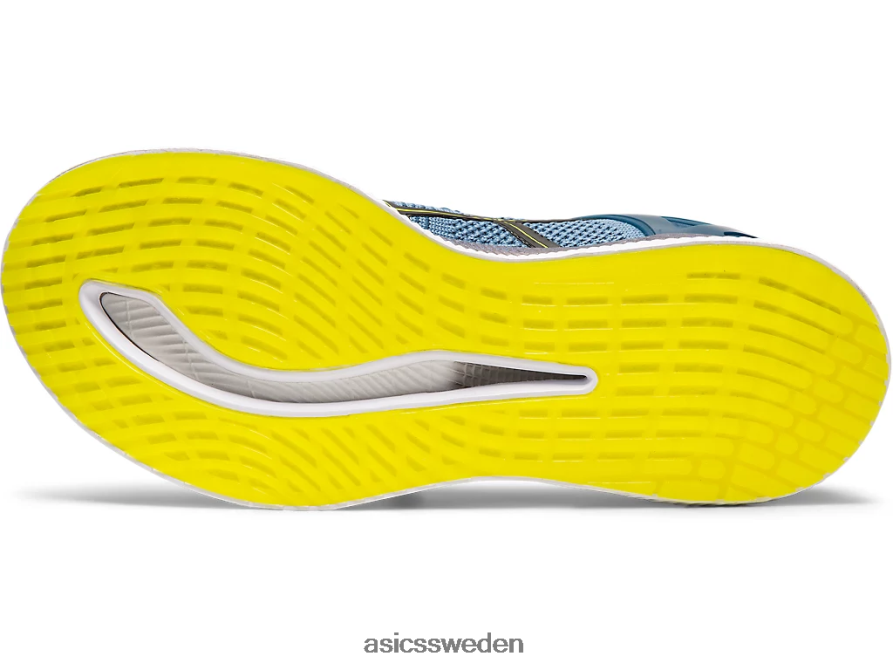 asics sverige metarid kvinnor 6N04FX4200