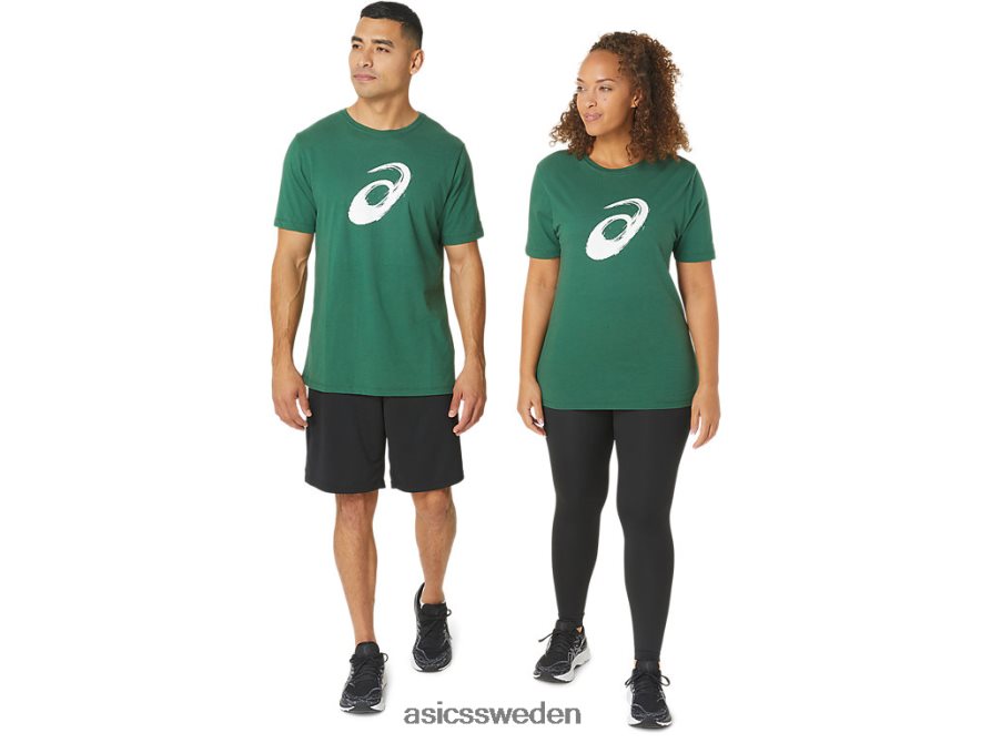 asics sverige målarpensel kortärmad t-shirt män 6N04FX879