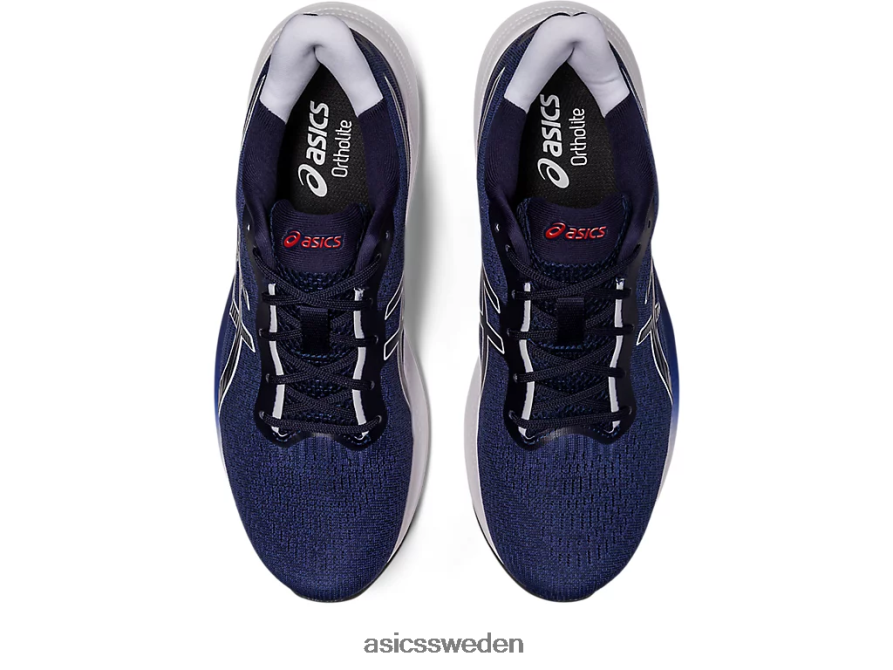 asics sverige gel-puls 14 män 6N04FX418