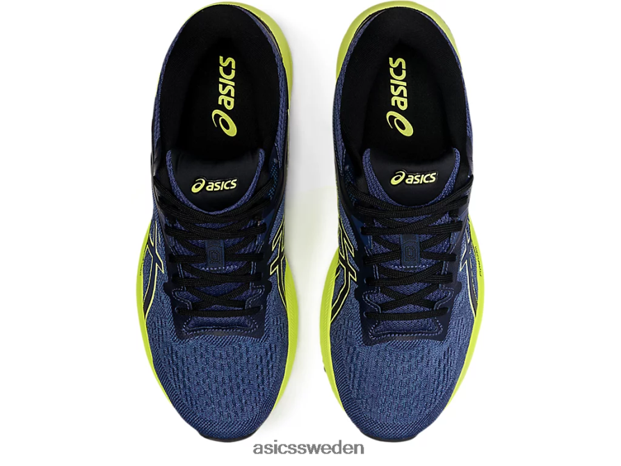 asics sverige gt-1000 10 män 6N04FX1870