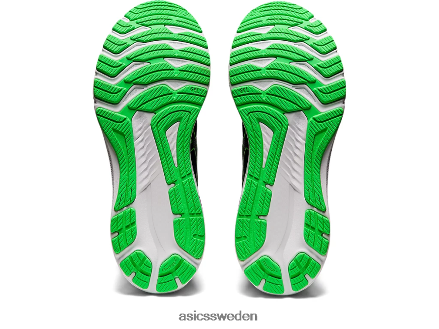 asics sverige gt-2000 10 bred män 6N04FX1244