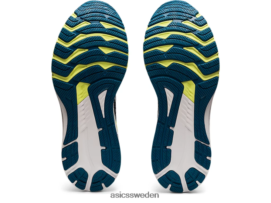 asics sverige gt-2000 10 män 6N04FX1686