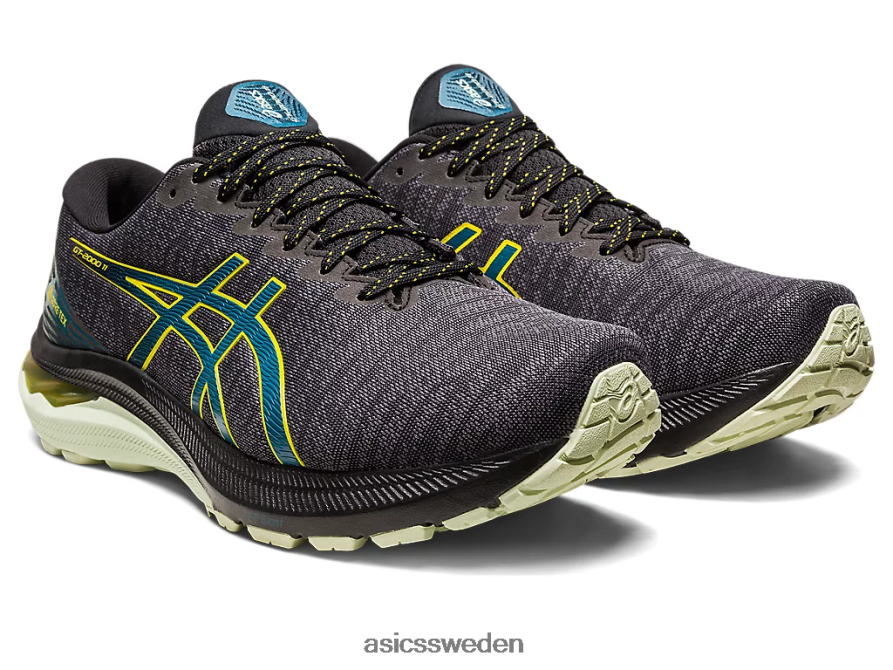 asics sverige gt-2000 11 gtx män 6N04FX691