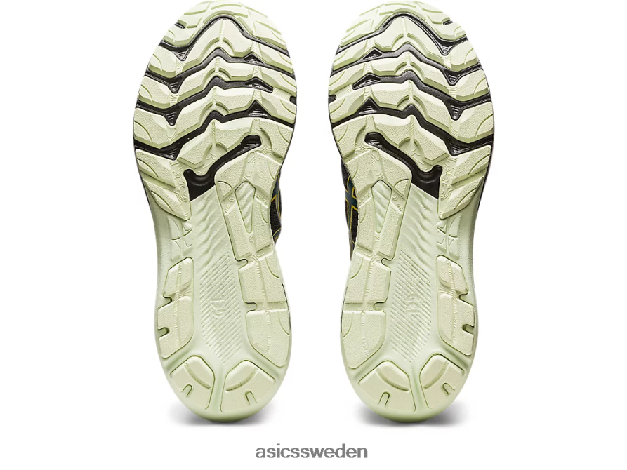 asics sverige gt-2000 11 gtx män 6N04FX691