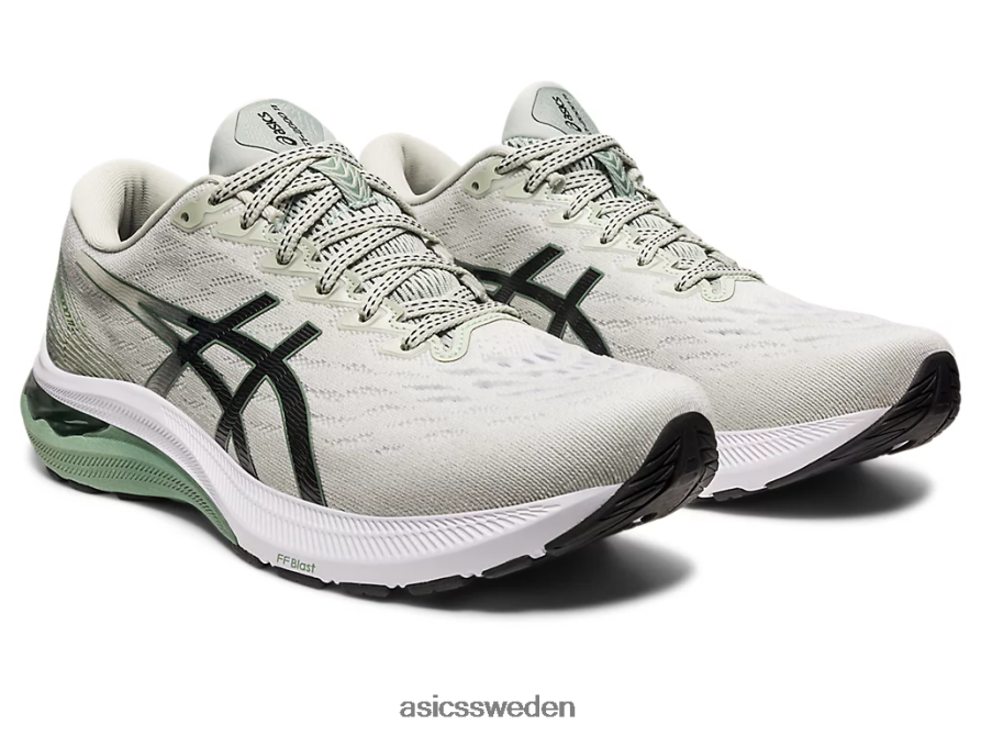 asics sverige gt-2000 11 män 6N04FX598