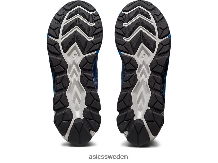 asics sverige gel-quantum 180 vii män 6N04FX951