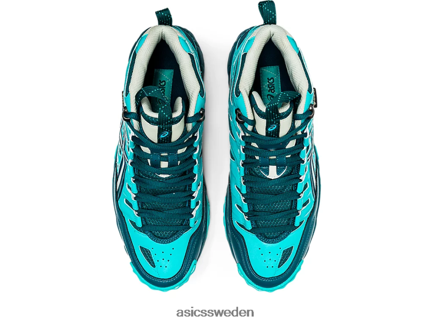 asics sverige hs3-s gel-nandi sp v män 6N04FX1333