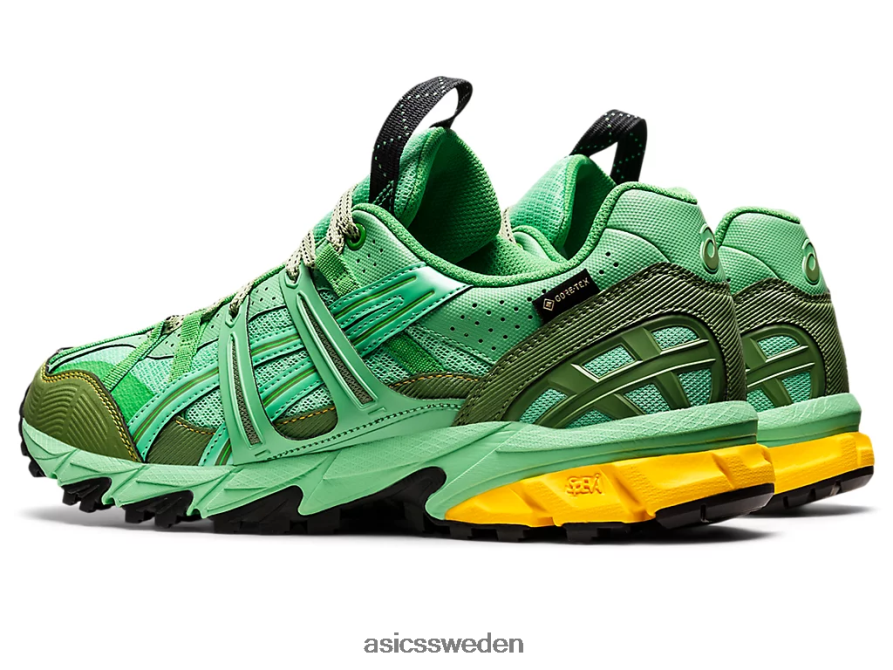 asics sverige hs4-s gel-sonoma 15-50 gtx män 6N04FX1248