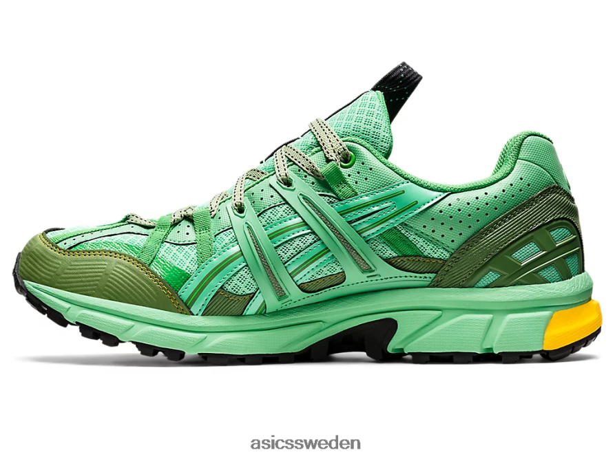 asics sverige hs4-s gel-sonoma 15-50 gtx män 6N04FX1248