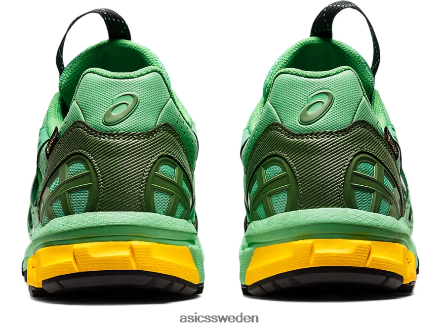 asics sverige hs4-s gel-sonoma 15-50 gtx män 6N04FX1248