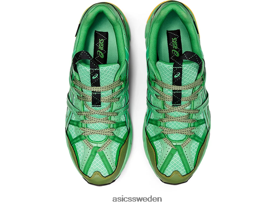 asics sverige hs4-s gel-sonoma 15-50 gtx män 6N04FX1248